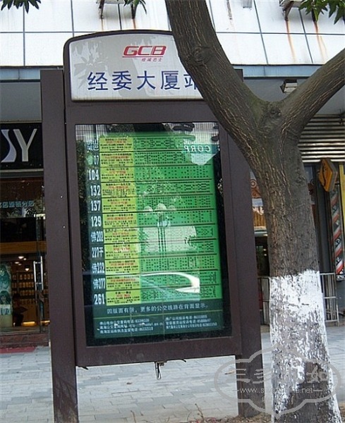 100_5194__.jpg