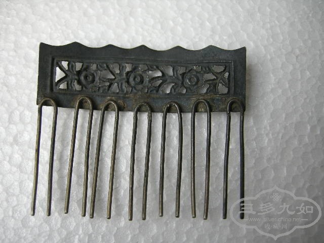 DSCN8313.JPG
