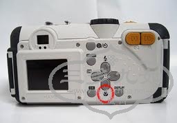 imagesCAF5PAA2.jpeg