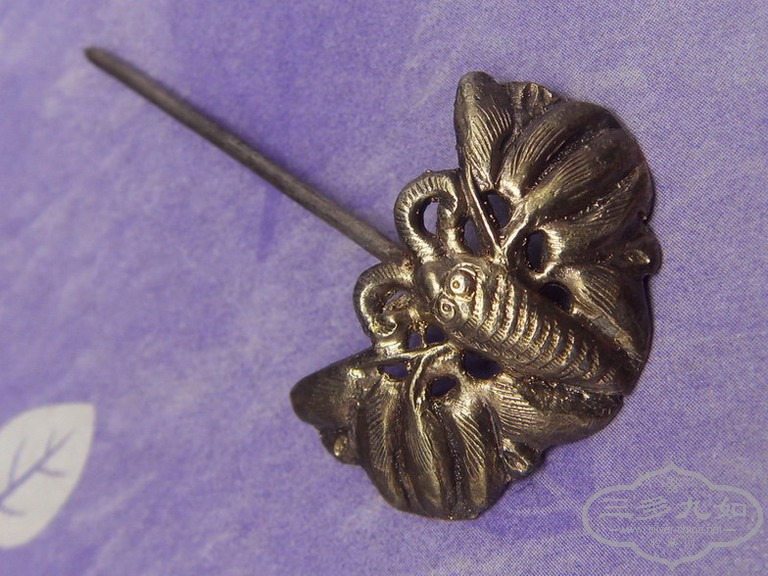 SDC13916.jpg