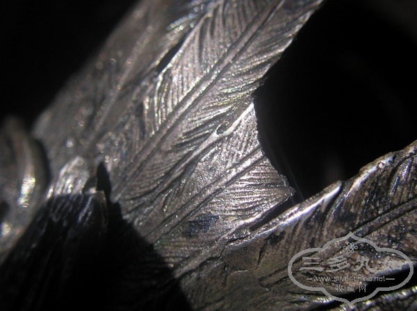 P4040187.JPG