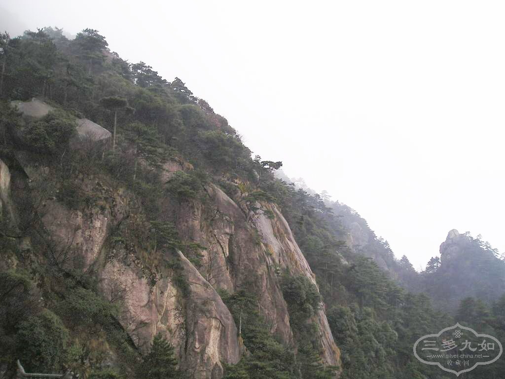 P1010028.jpg