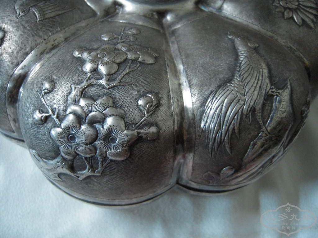 DSCN1555.JPG