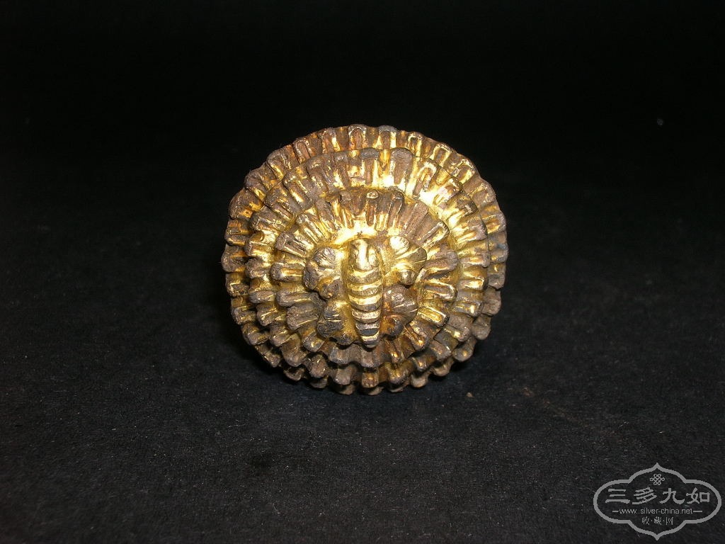 DSCN1195.JPG
