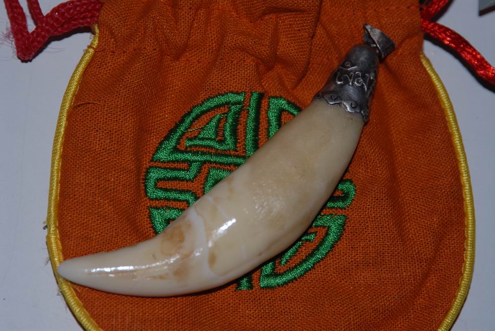 VjoMo5u3.jpg