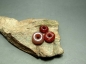 սɵ3 ݳ