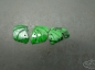 Ƭɫ ɫ