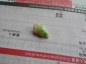 ڵС ɫ