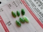 6Ŵڵ˫ ɫˮ