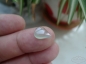 Сͷ߱ͽ