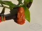 ~KK&ů~ʱڼt׹