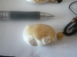 Ҽ