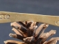 ʯͷǡһ̽˫