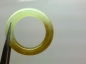 Ļ