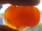 իͯ