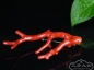 ڻ ֦ 