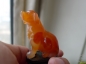 ڵȻ觹 ɫͨ͸