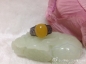 ġ ʵɫָ