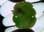  ϿŴ˫׳ٻƬѣ