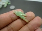 ɫС ˫湤