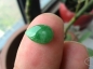 Сͷڵɫˮε