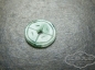  ƮСǮ 100
