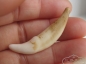 ի