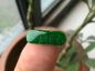 Сͷڵ 