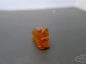 һֻڵϺС ͨ