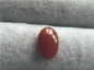 Ȫ桿k296Ȼ